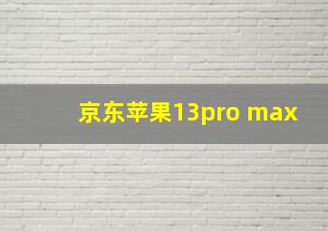 京东苹果13pro max